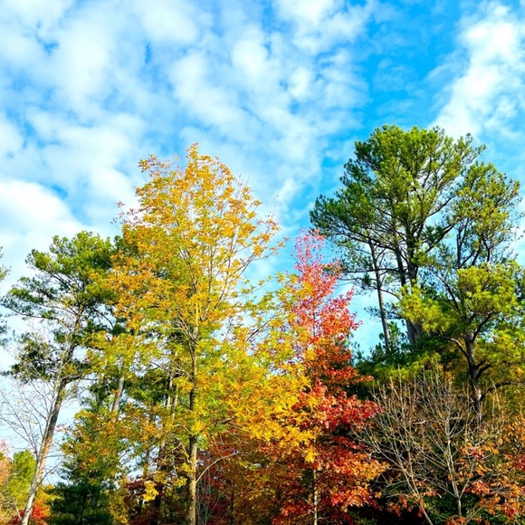 🦋☀️Like For Live Posh Show Notifications🩷🌻 - Picture 6 of 17